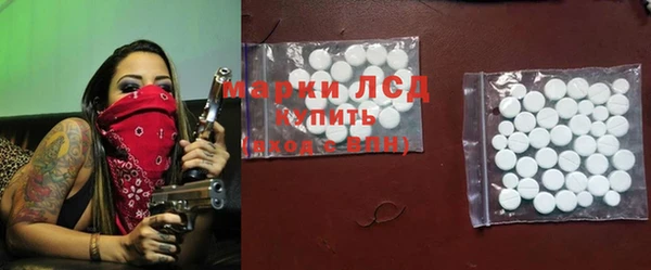 ГАЛЛЮЦИНОГЕННЫЕ ГРИБЫ Иннополис