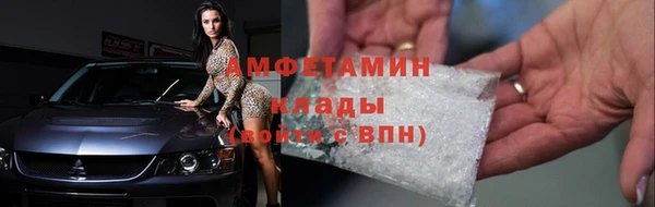 гидра Инсар