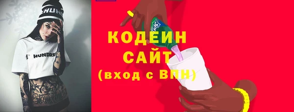 гидра Инсар