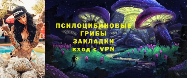 ГАЛЛЮЦИНОГЕННЫЕ ГРИБЫ Иннополис