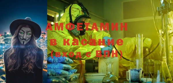 гидра Инсар
