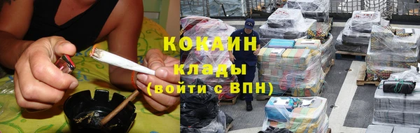 гидра Инсар