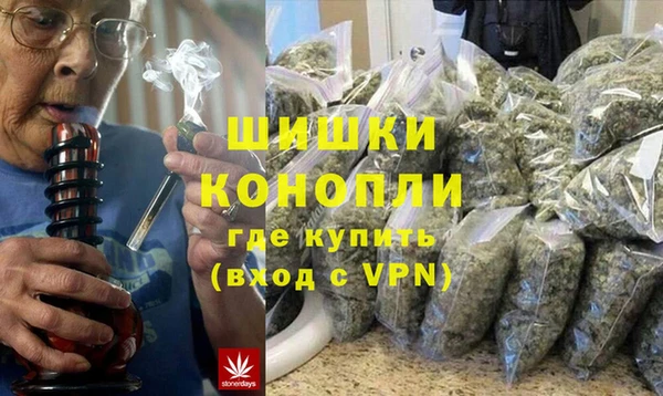 гидра Инсар